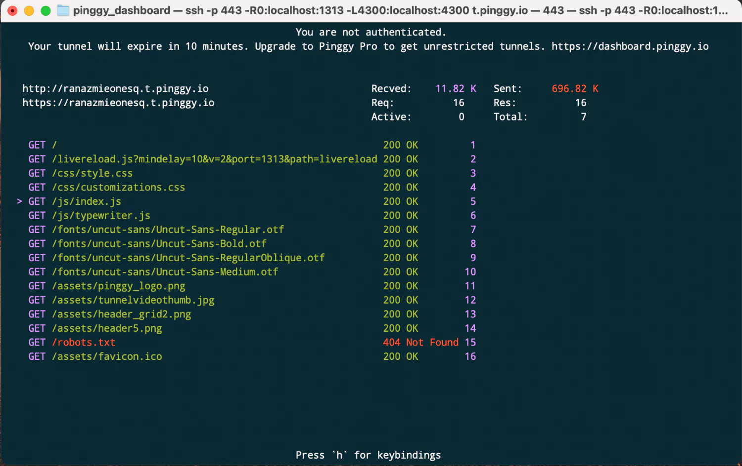 Pinggy terminal interface screenshot