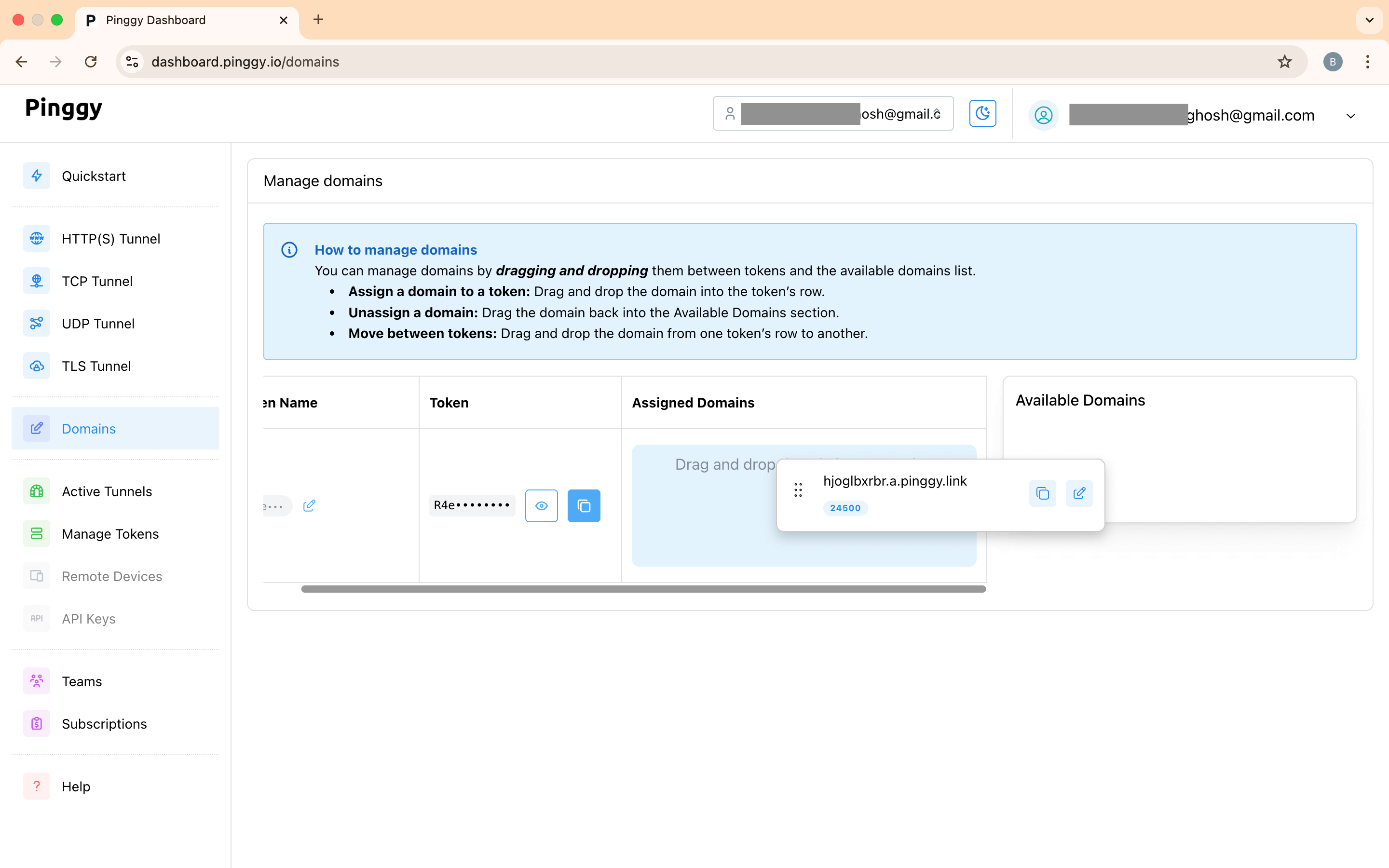 Drag persistent subdomain to assign it to a token.