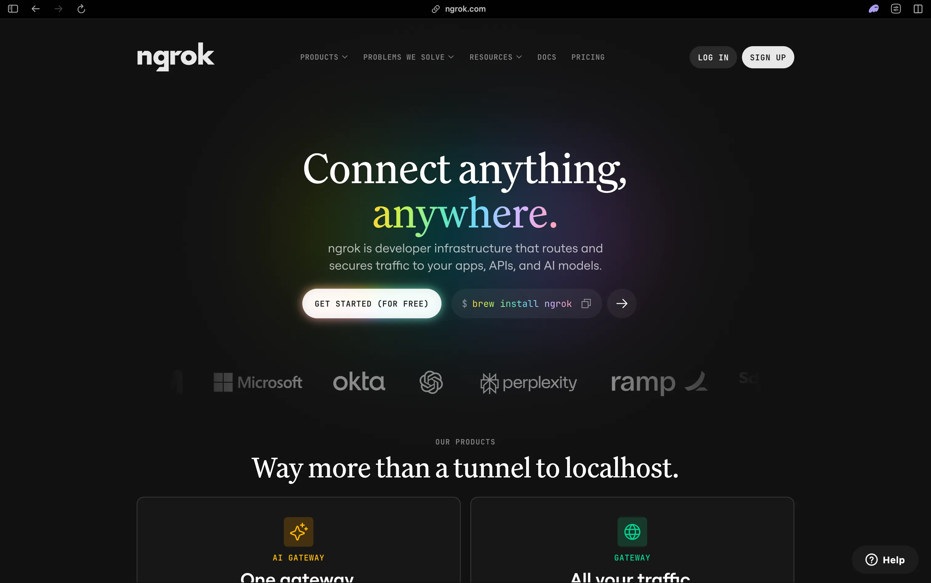 ngrok homepage