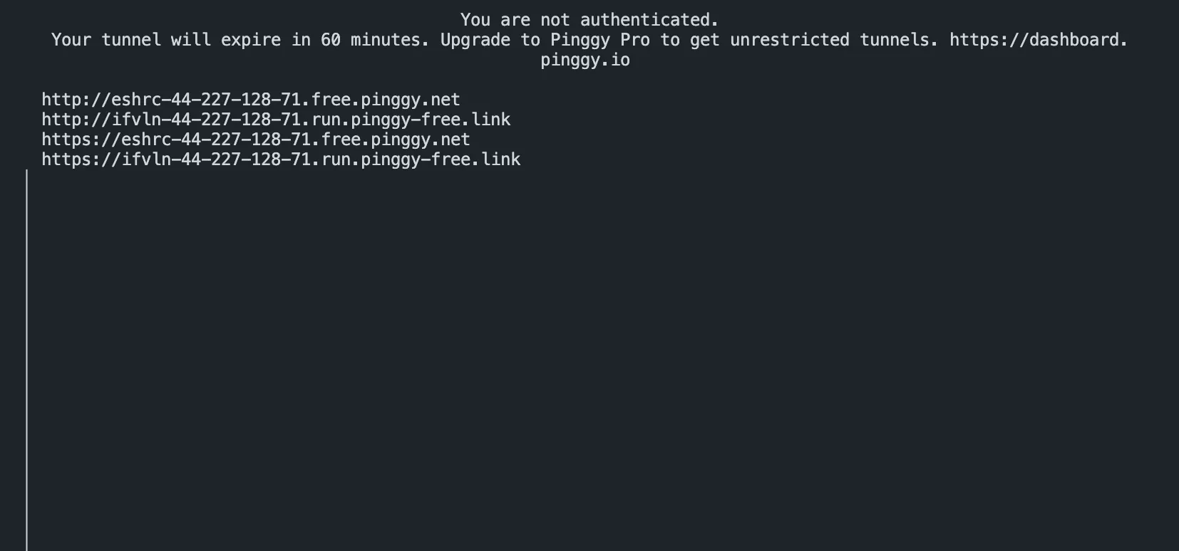 Real free-tier Pinggy tunnel output: an unauthenticated 60-minute expiry notice plus both HTTP and HTTPS URLs on two separate domains