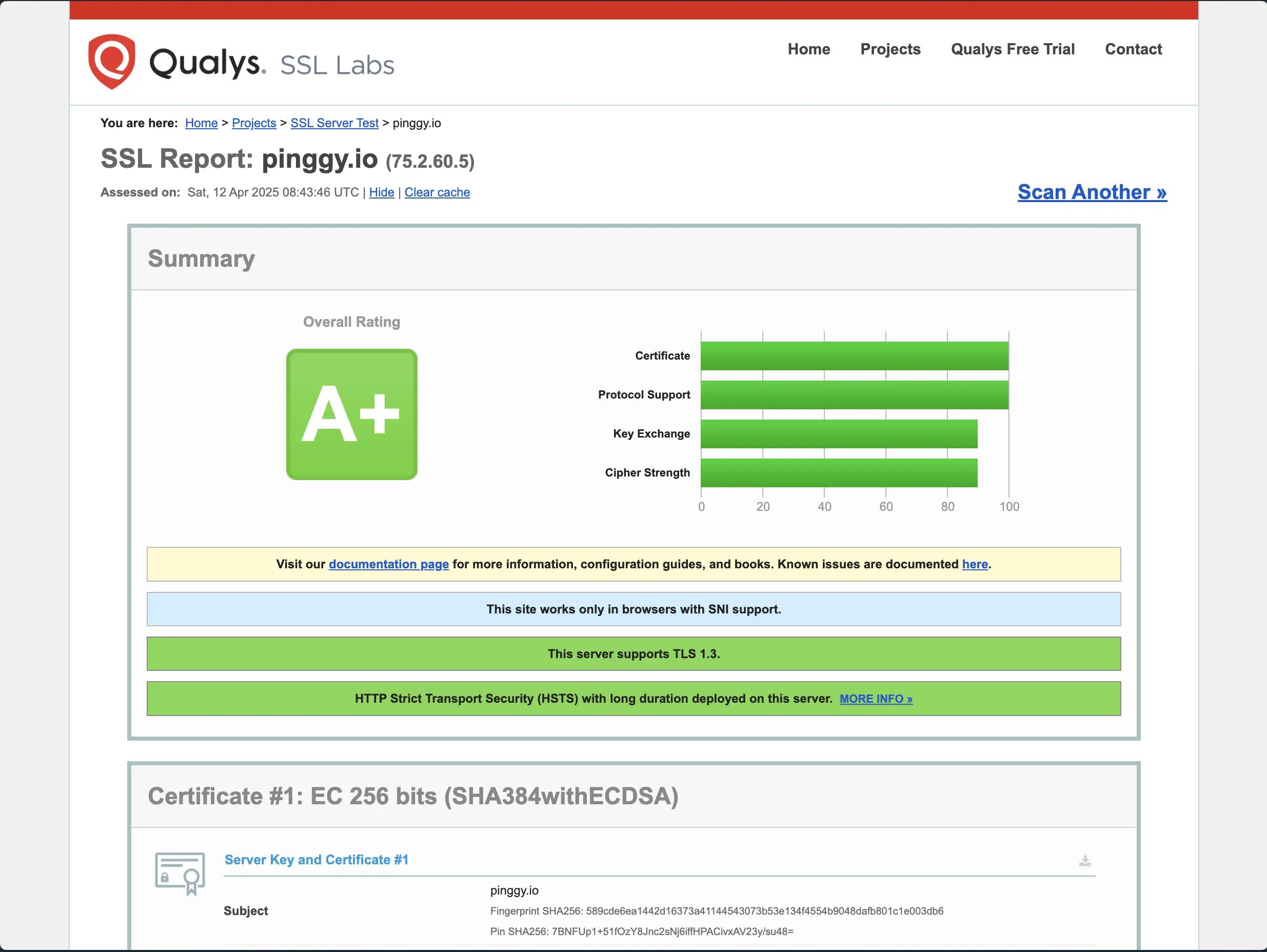 SSL Labs Site ScreenShot