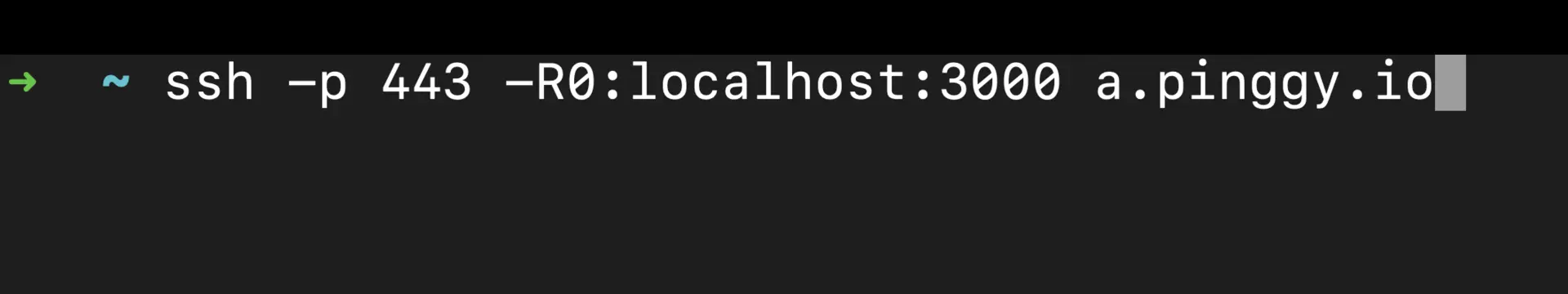 Pinggy Command