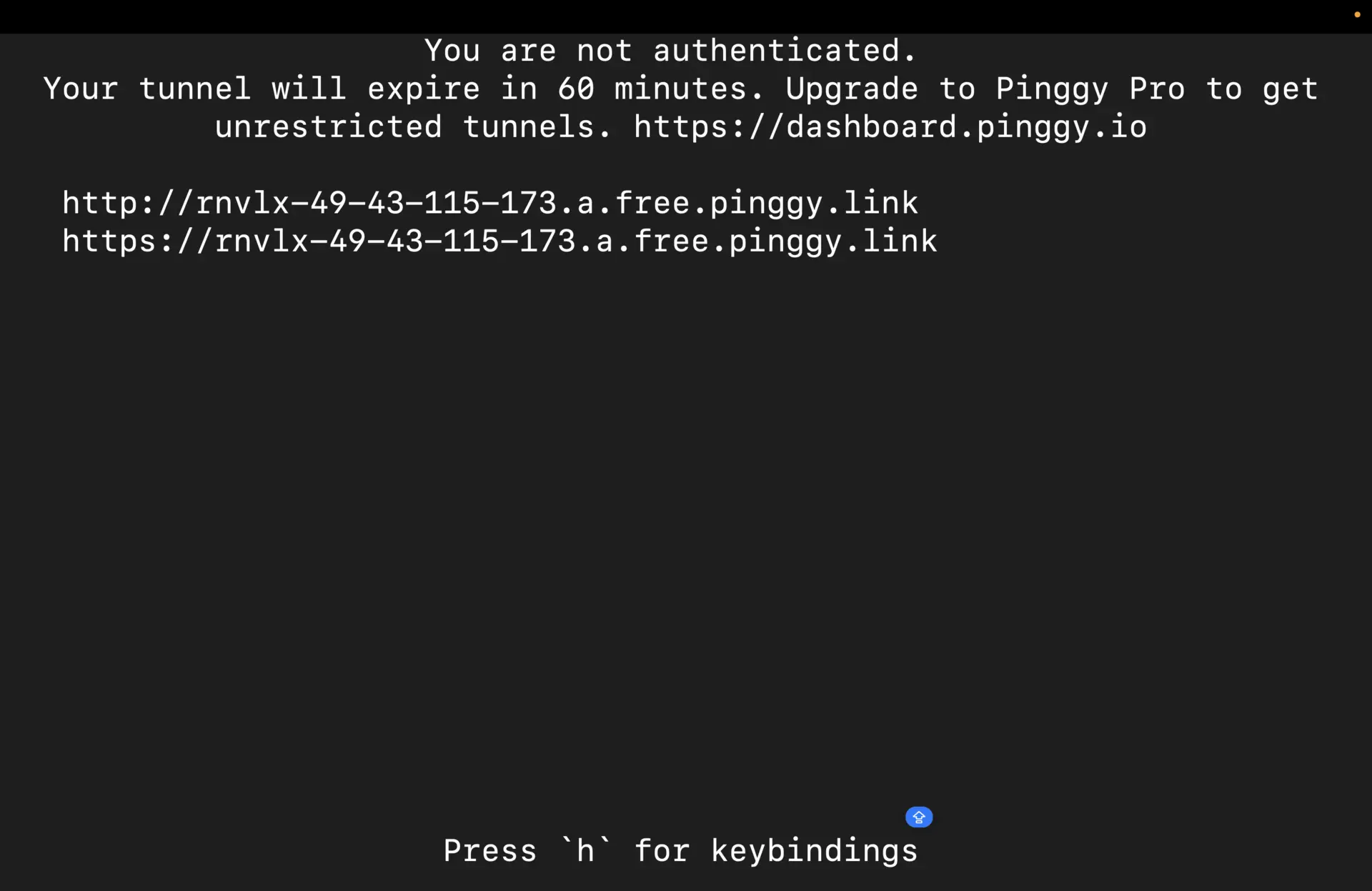 Pinggy Public Url