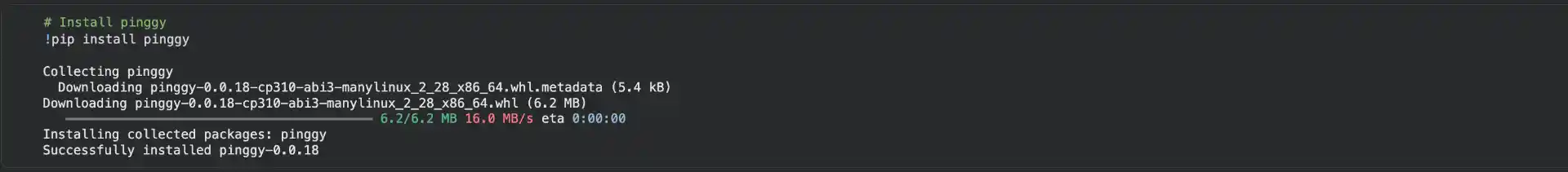Install Pinggy Package