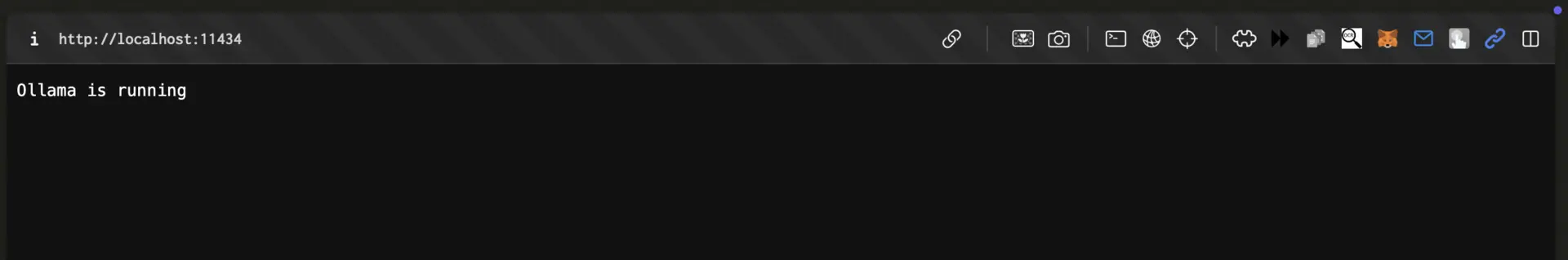 ollama model api test local