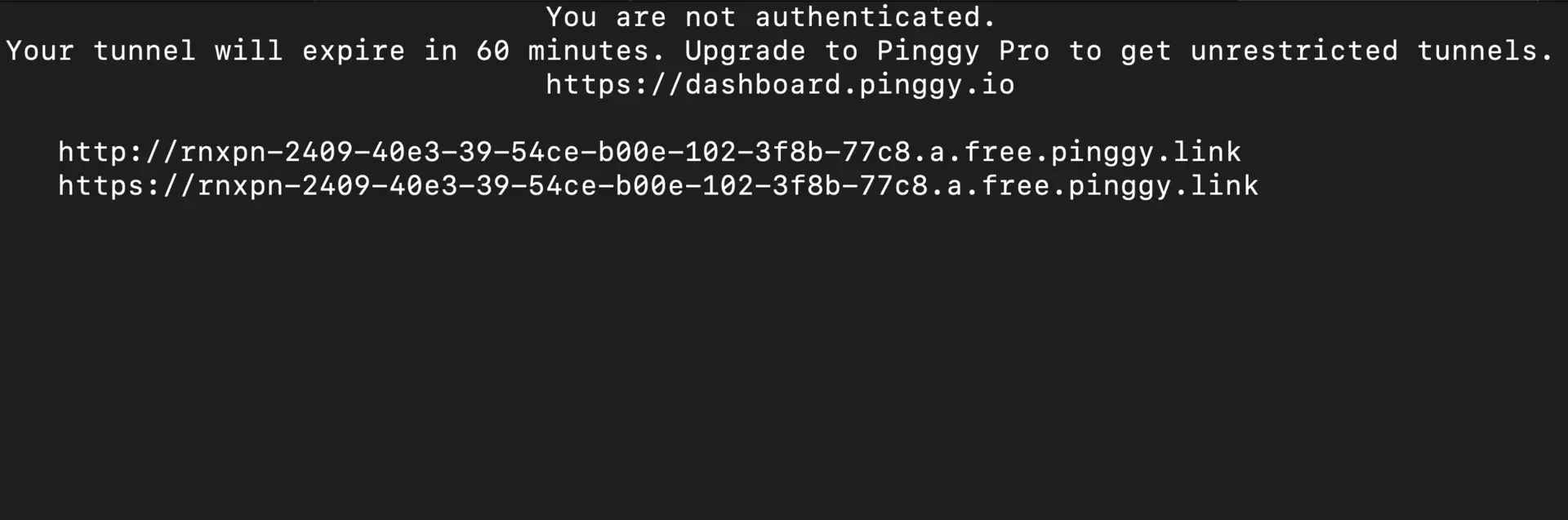 open webui via pinggy url