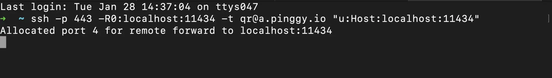pinggy command