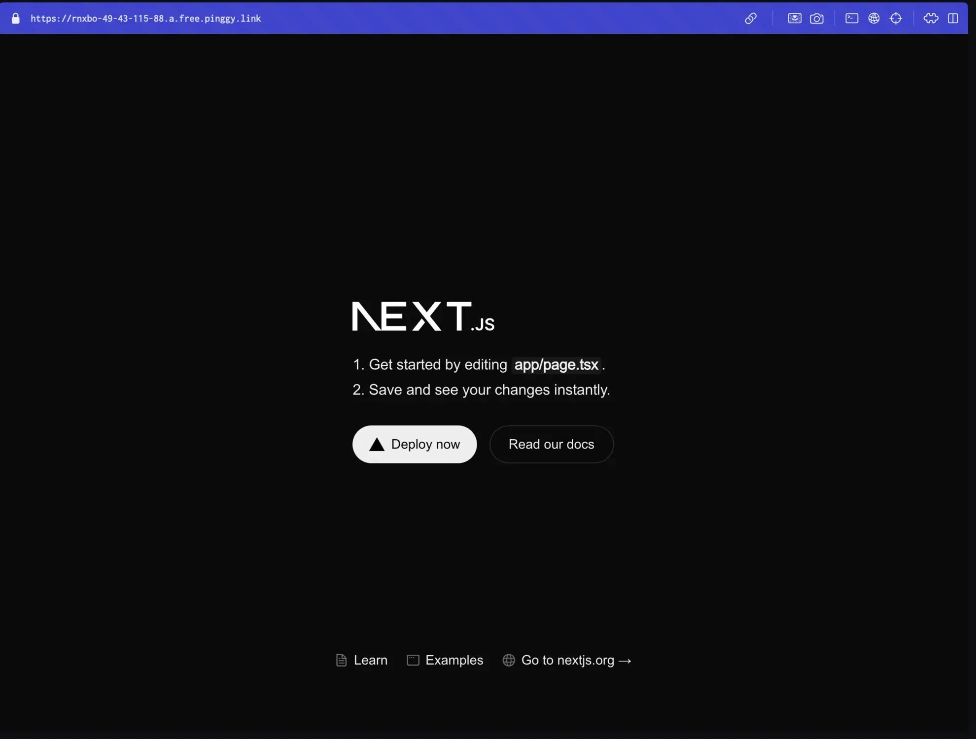 next app running on pinggy url