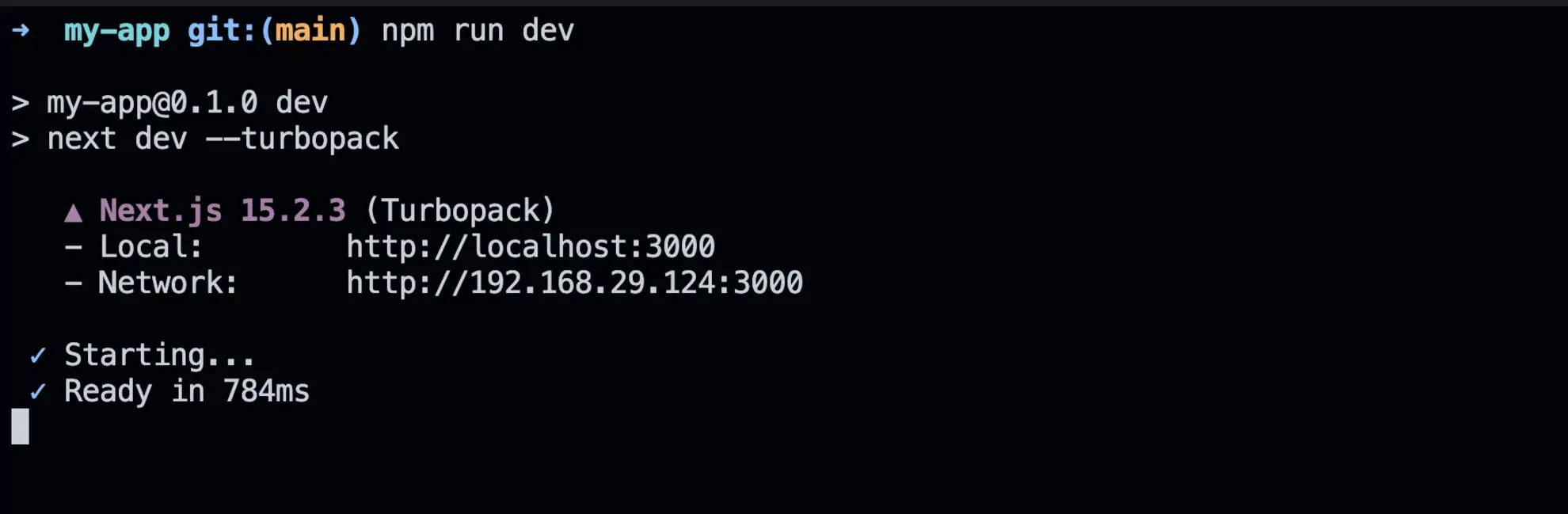 Next App Start command