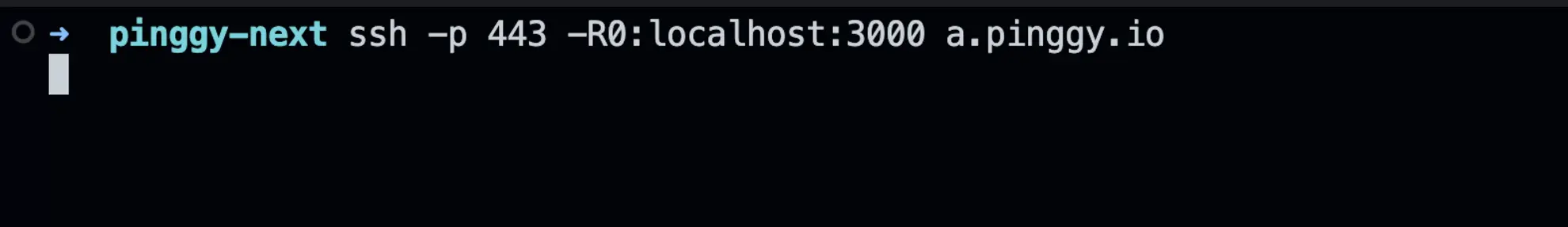 pinggy ssh command