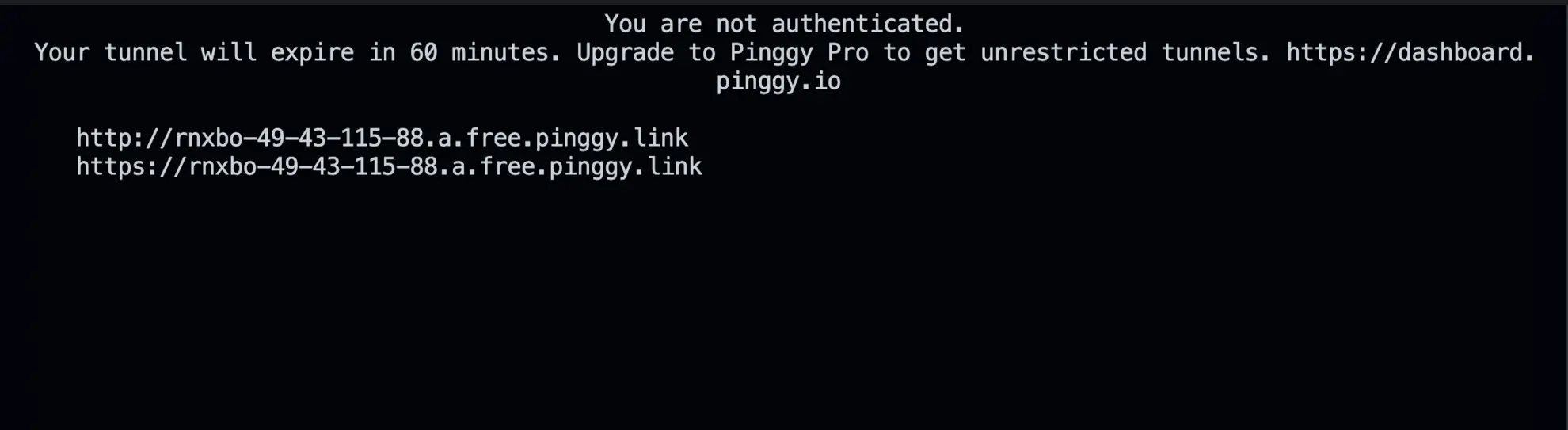 pinggy url