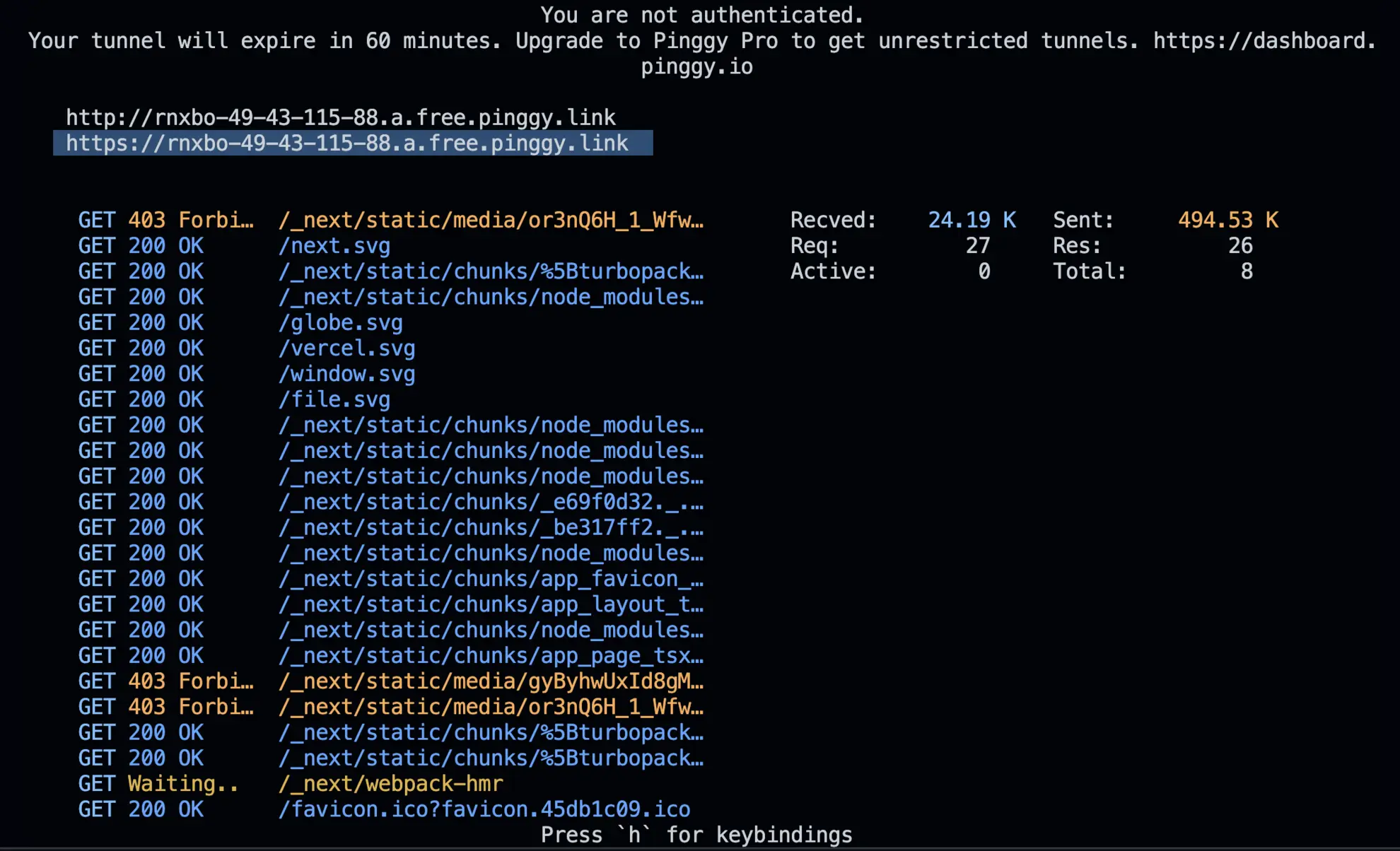 pinggy url log