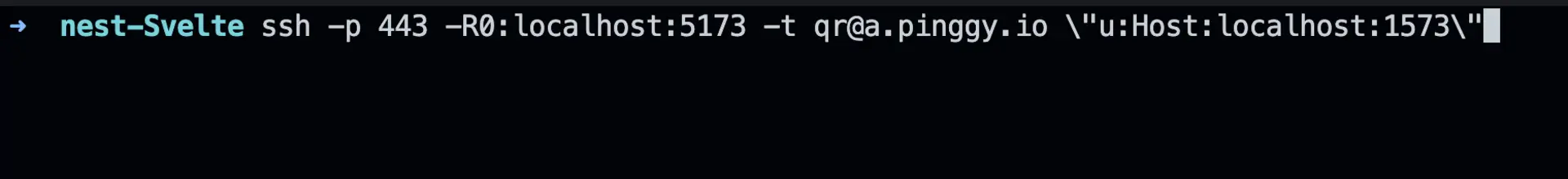 Pinggy command