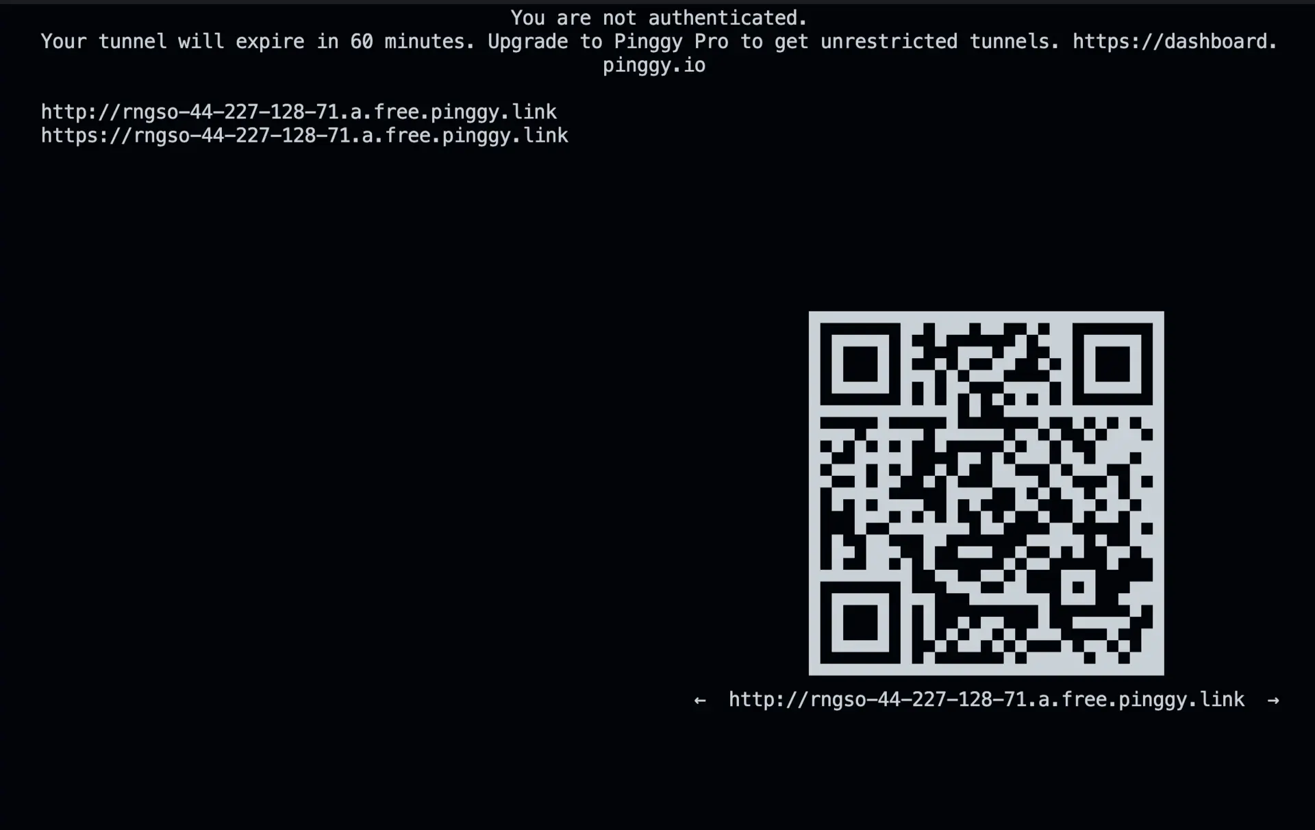 Pinggy Public Url