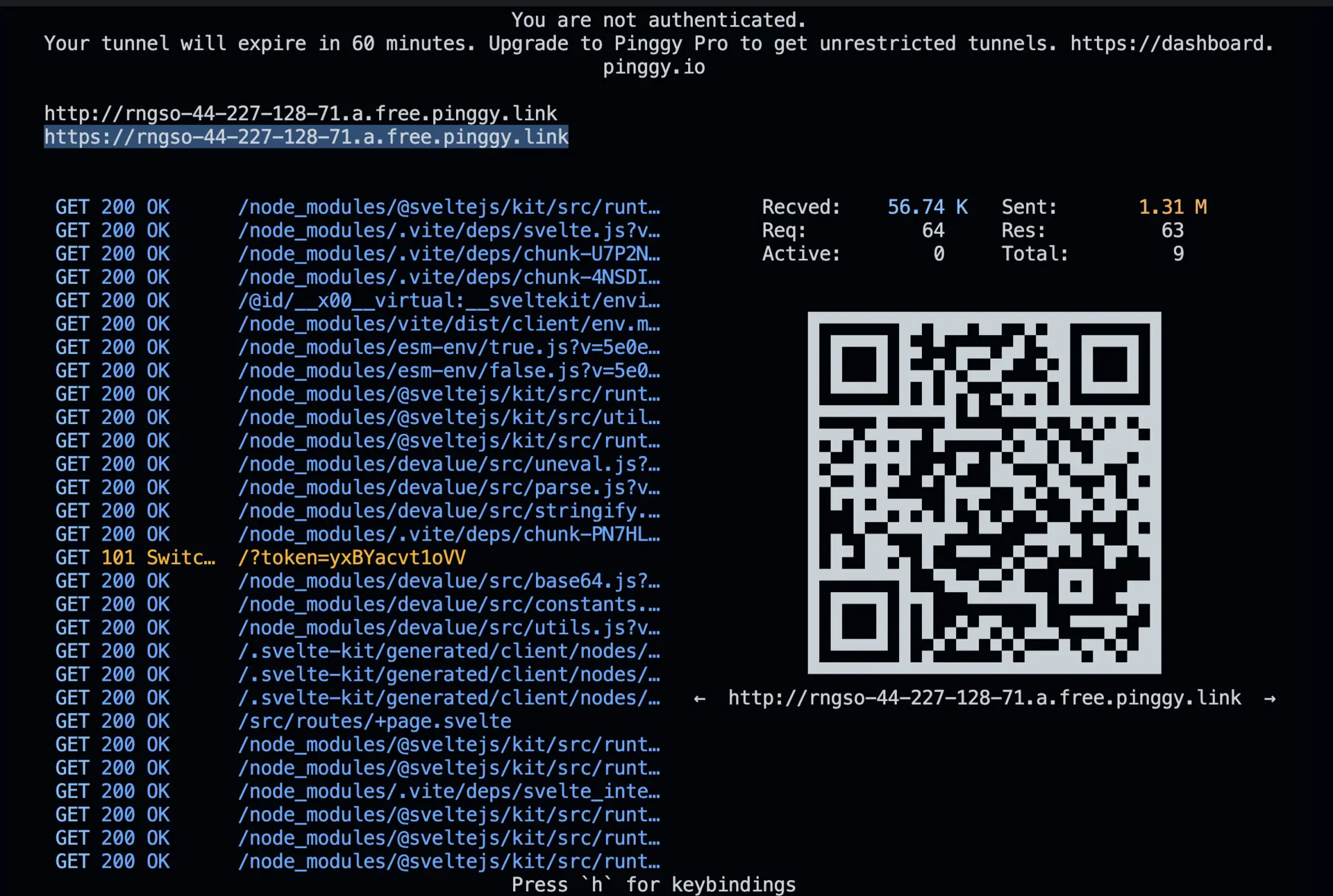 pinggy public url log