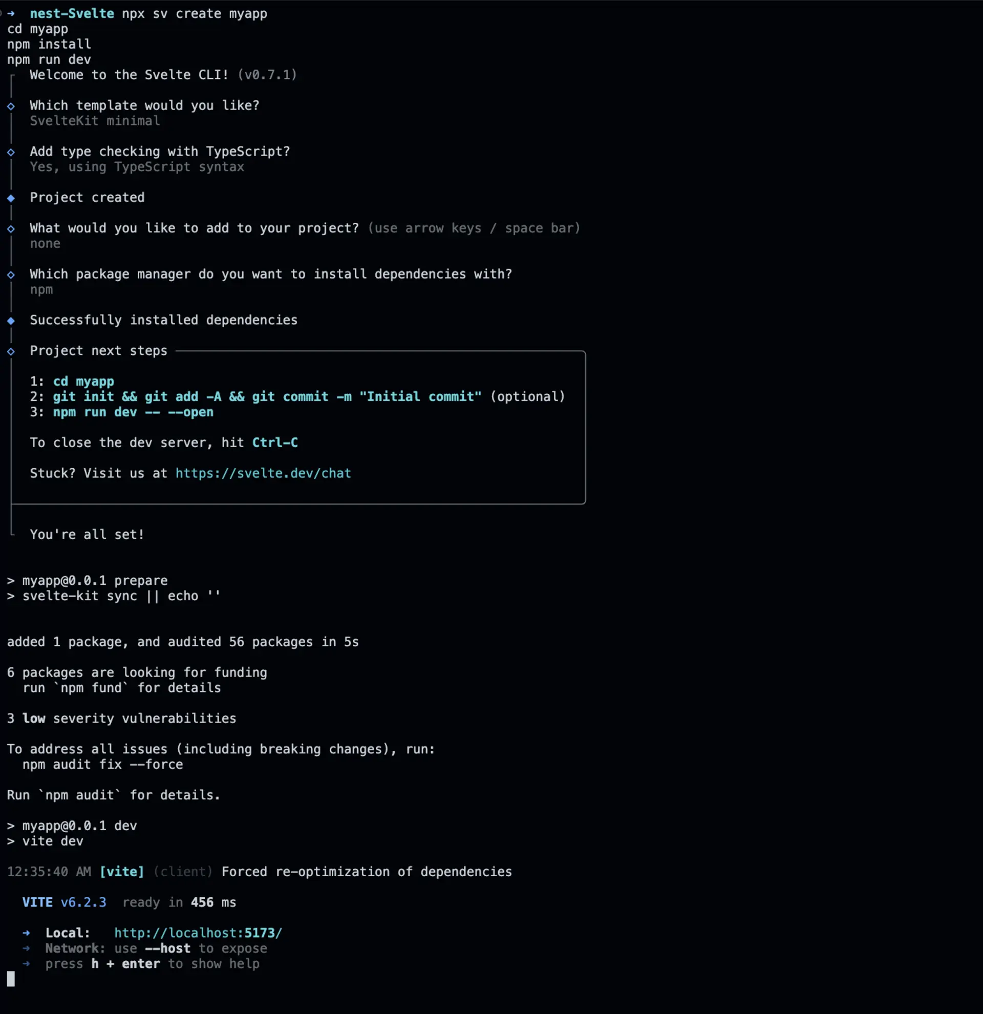 Svelte App Start command