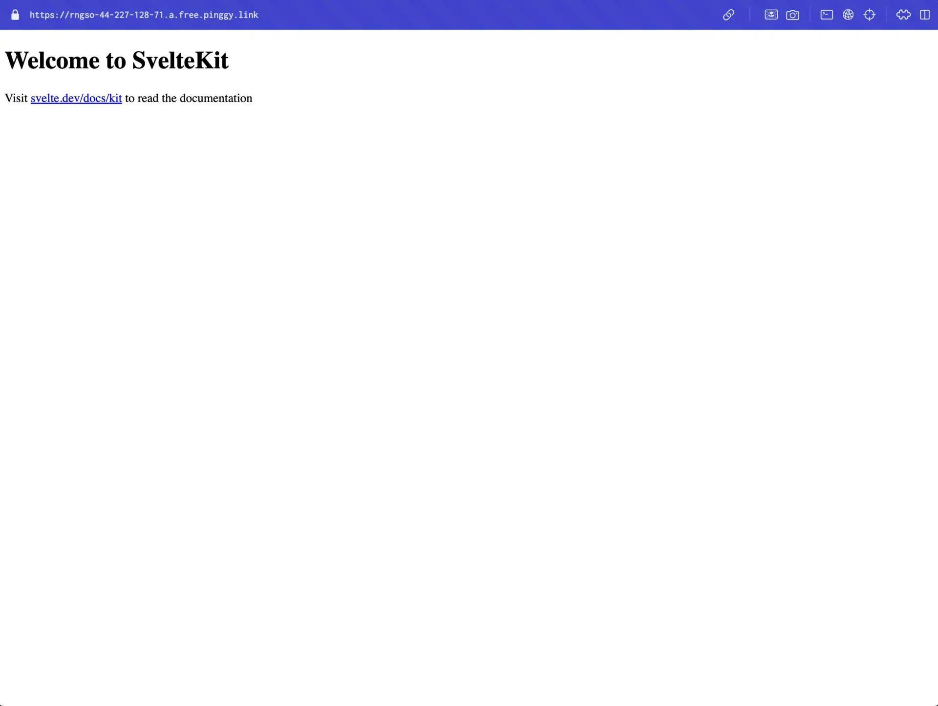 website host on pinggy public url