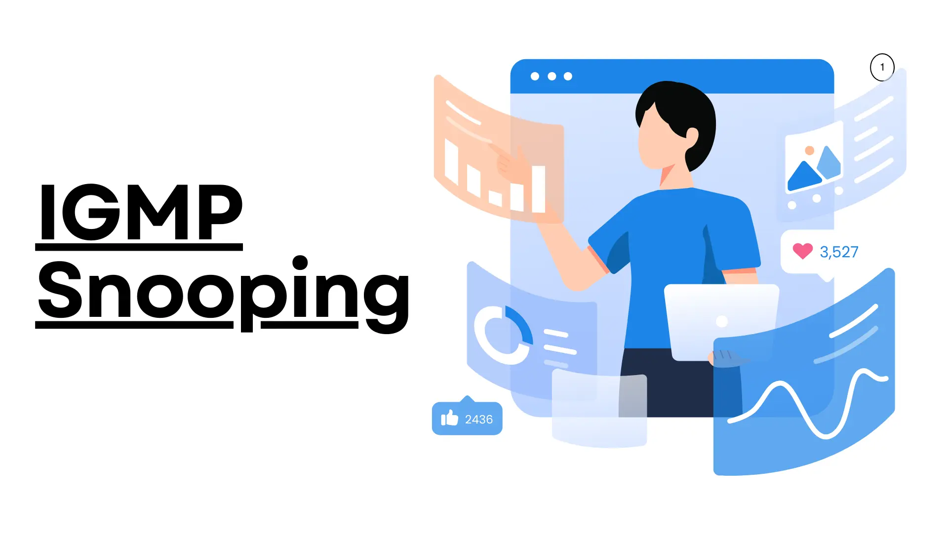 IGMP Snooping Banner