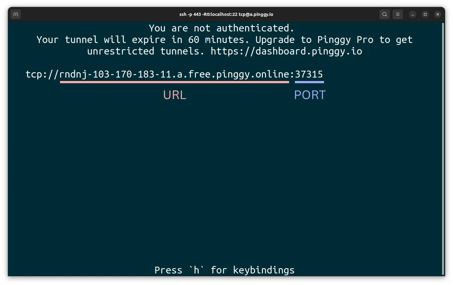 Raspberry Pi tunnel connection details