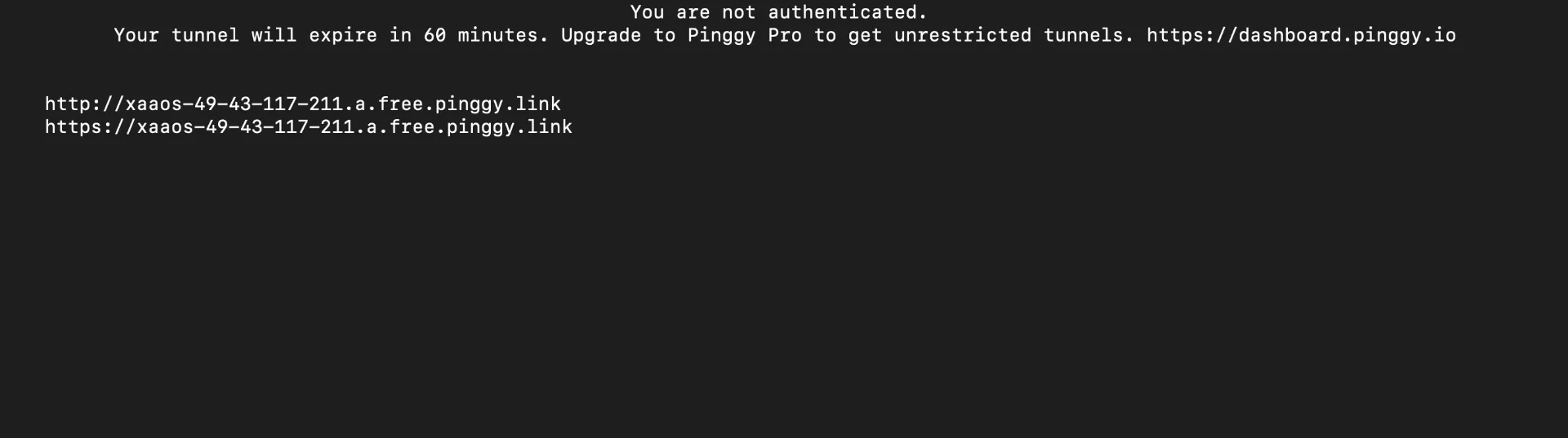 Pinggy tunnel active with public HTTP and HTTPS URLs