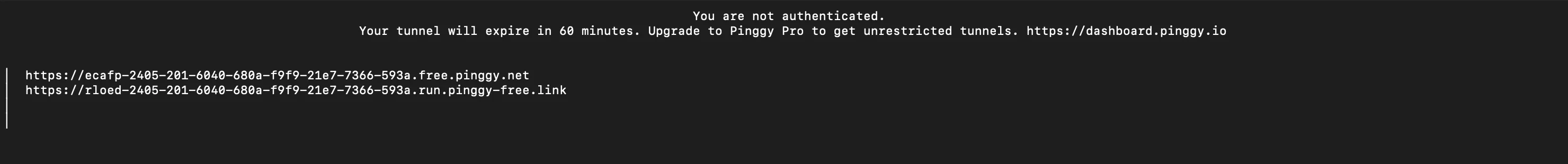Pinggy printing two public HTTPS URLs for the tunnel forwarding to localhost:20128