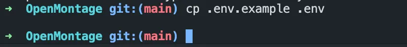 Configuring the .env file with API keys