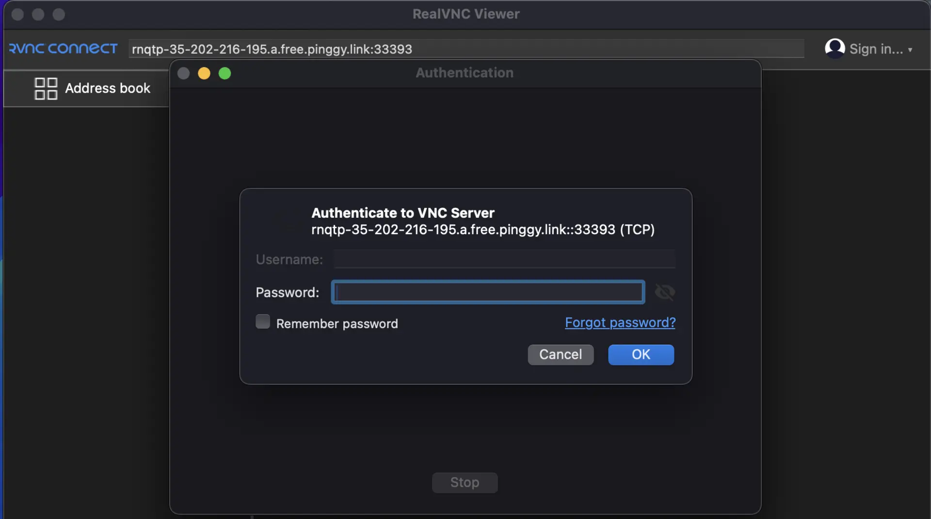 enter password realvnc viewer