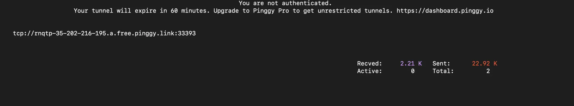 Pinggy Public Url
