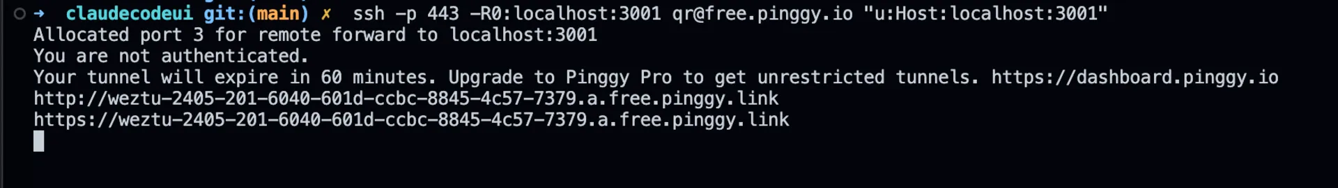 Creating Pinggy Tunnel for Claude Code UI