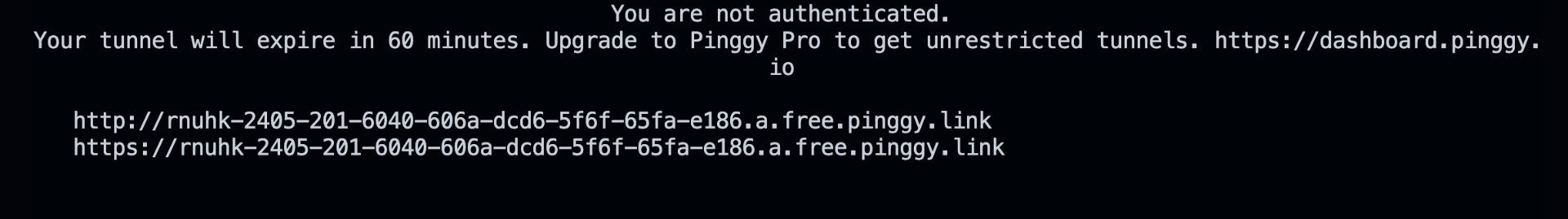 Pinggy Public Url