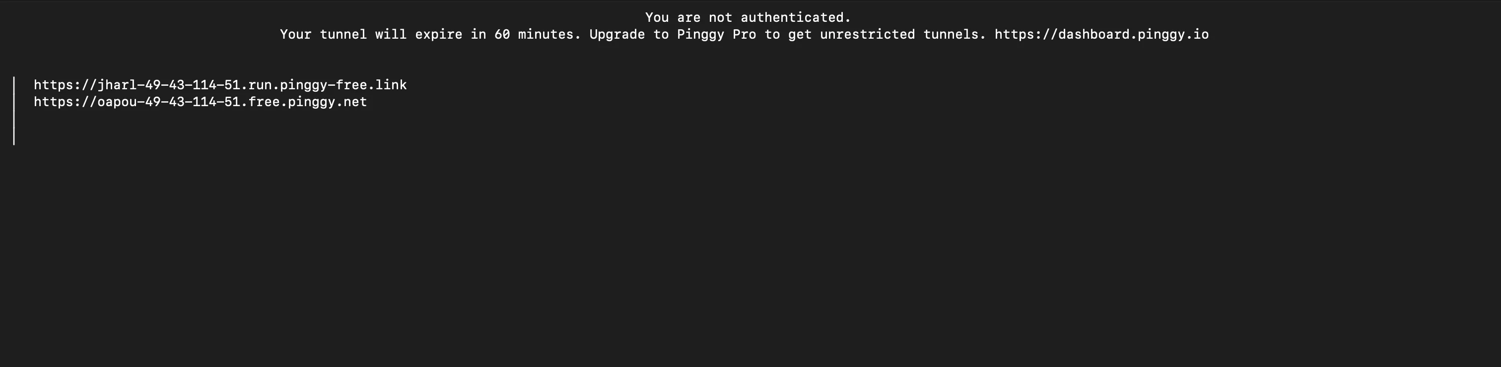 Pinggy printing the public HTTPS URLs for the tunnel along with the 60-minute free-tier notice