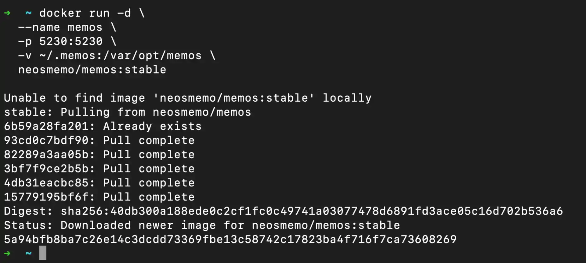 Running Memos with Docker
