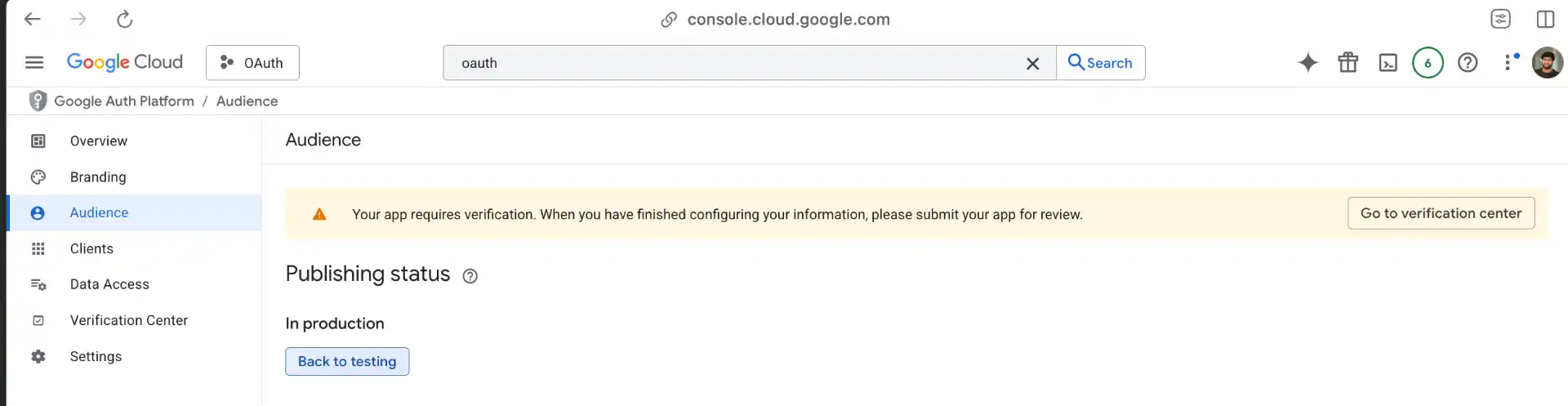 Publishing the app in OAuth consent screen