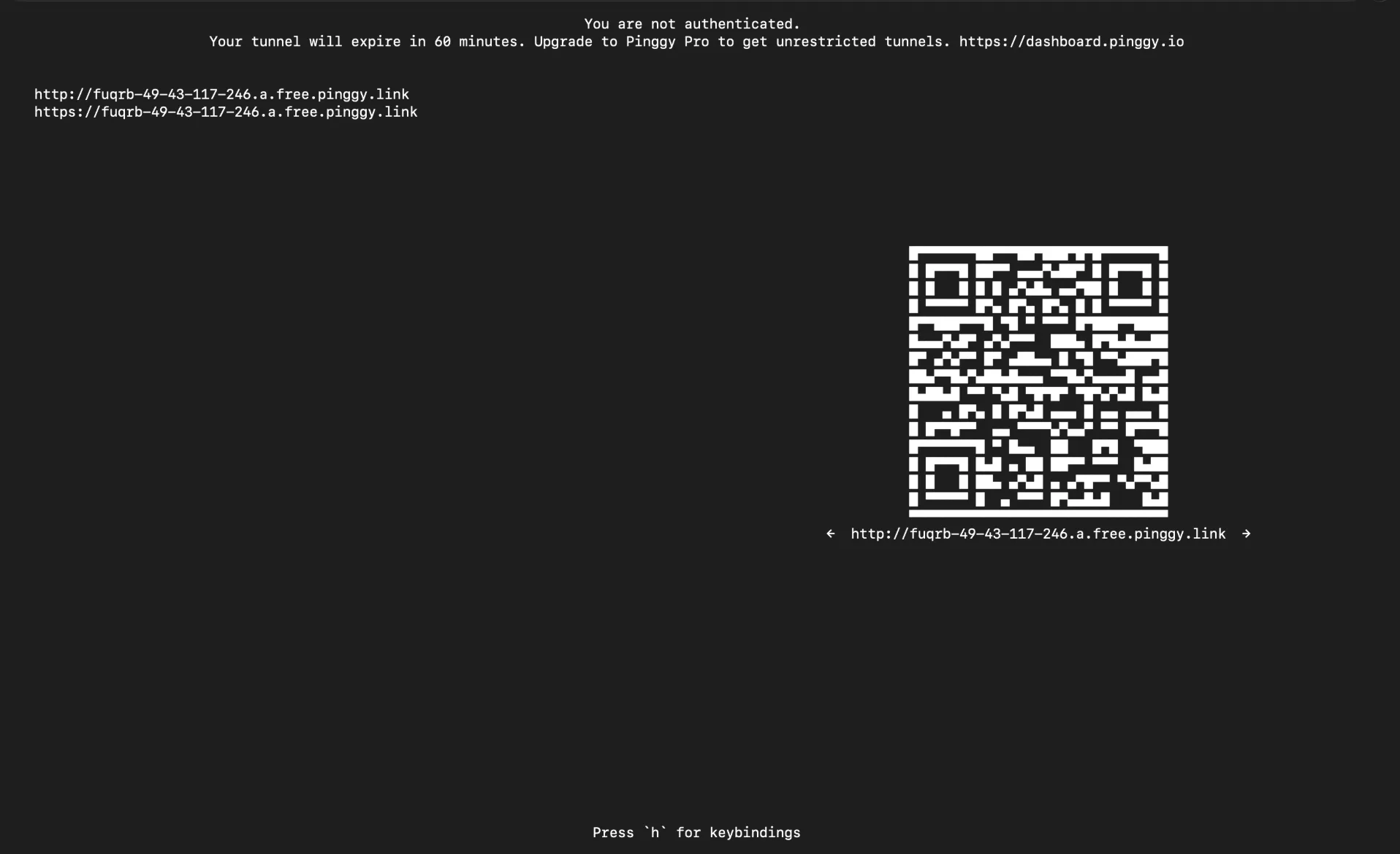 Pinggy Tunnel Public URL