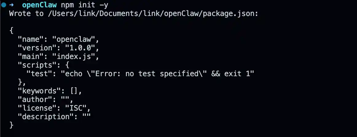 npm init command for local installation