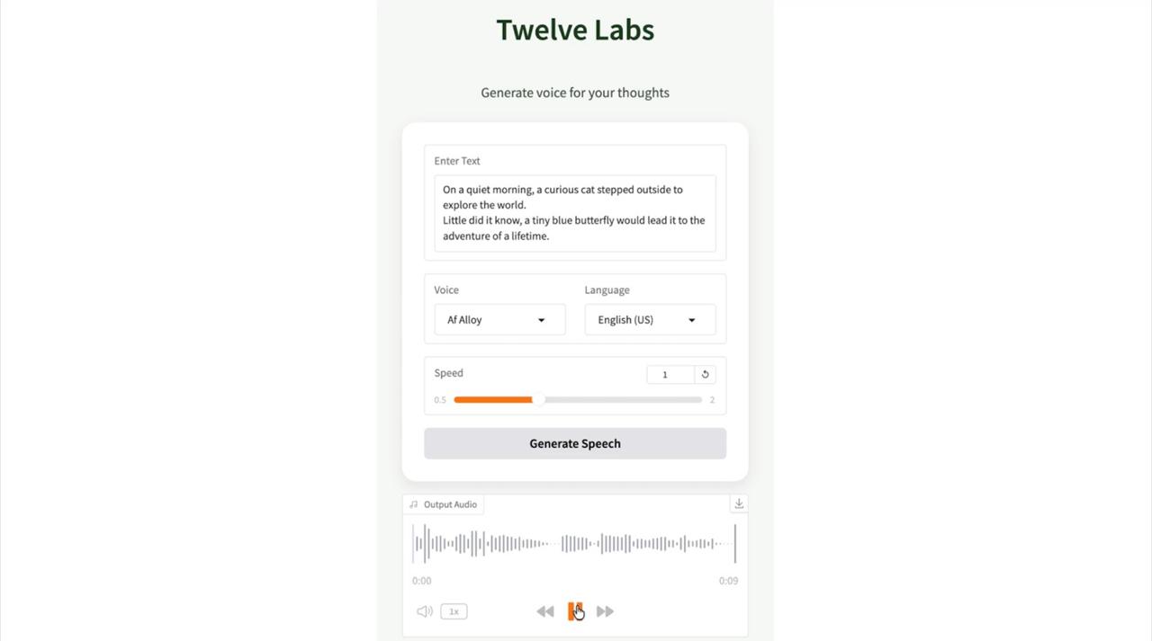 Running Your TTS Application