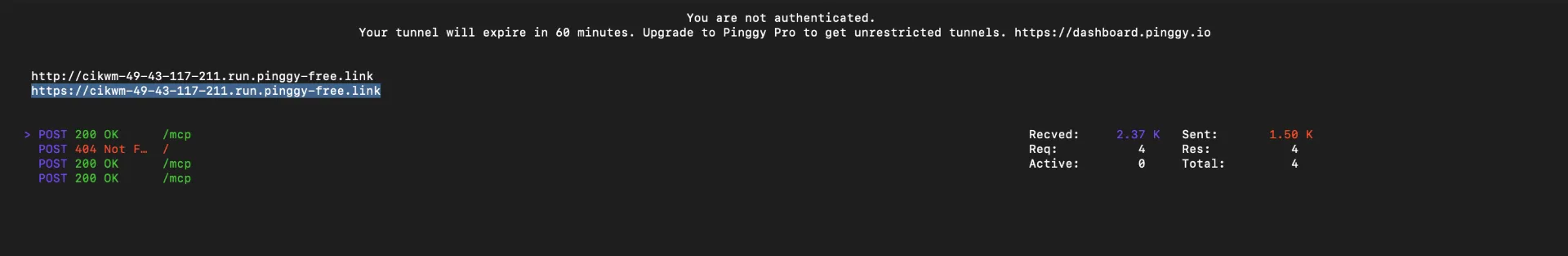 Pinggy tunnel output with public URL
