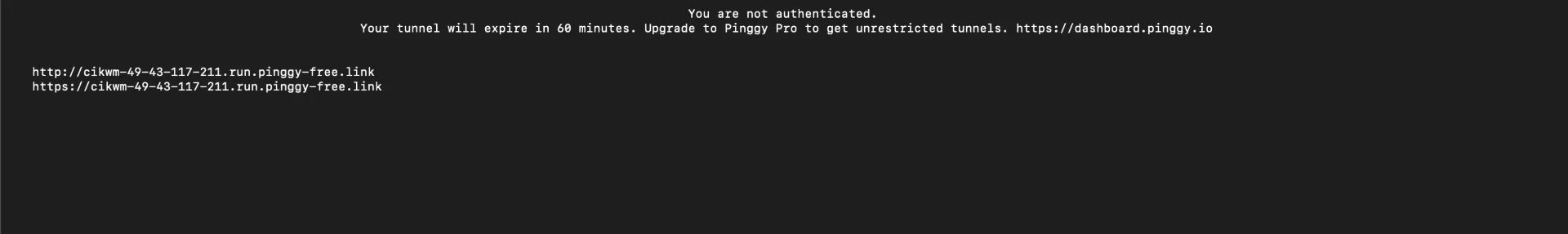 Starting Pinggy tunnel