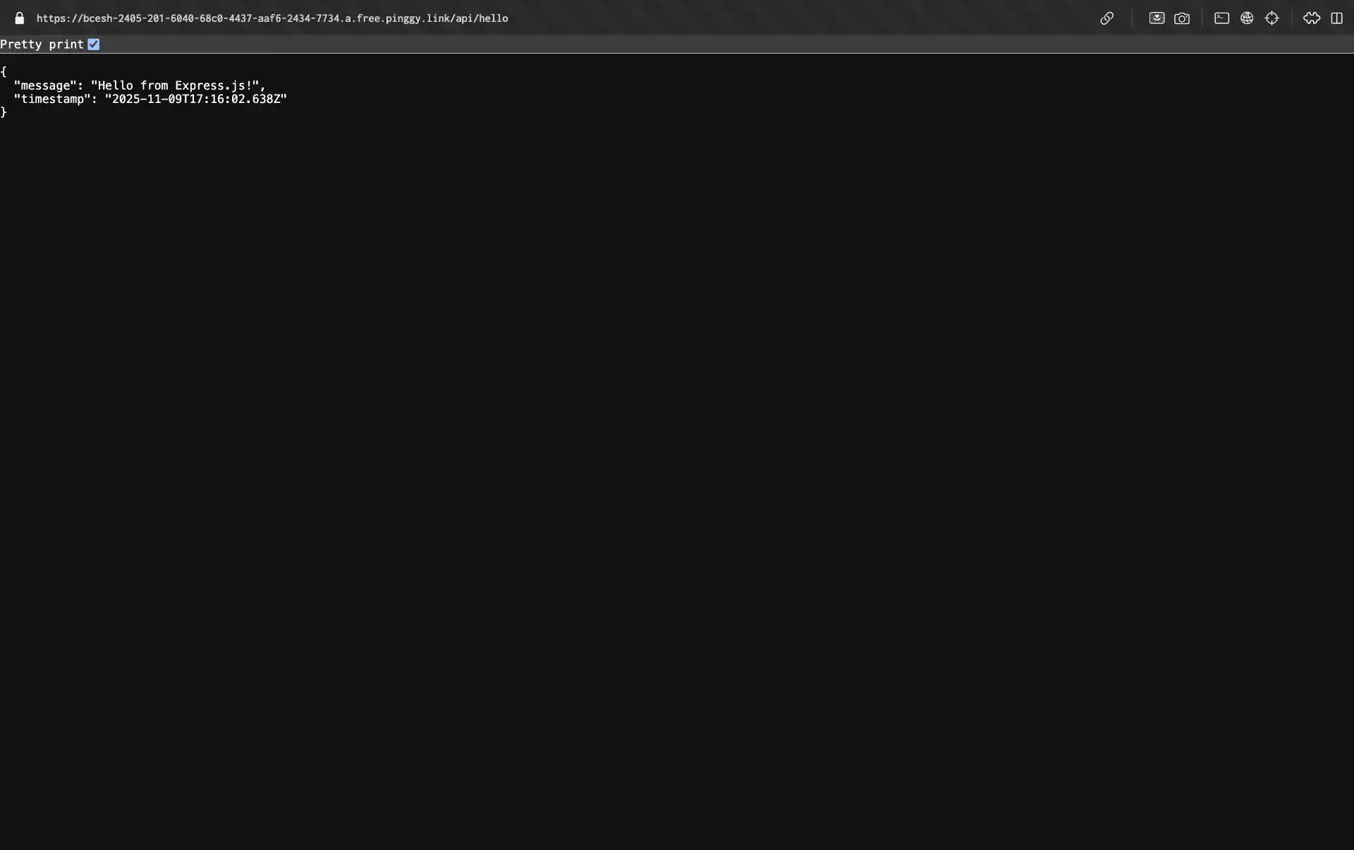 Access JSON Response Using Pinggy Public URL