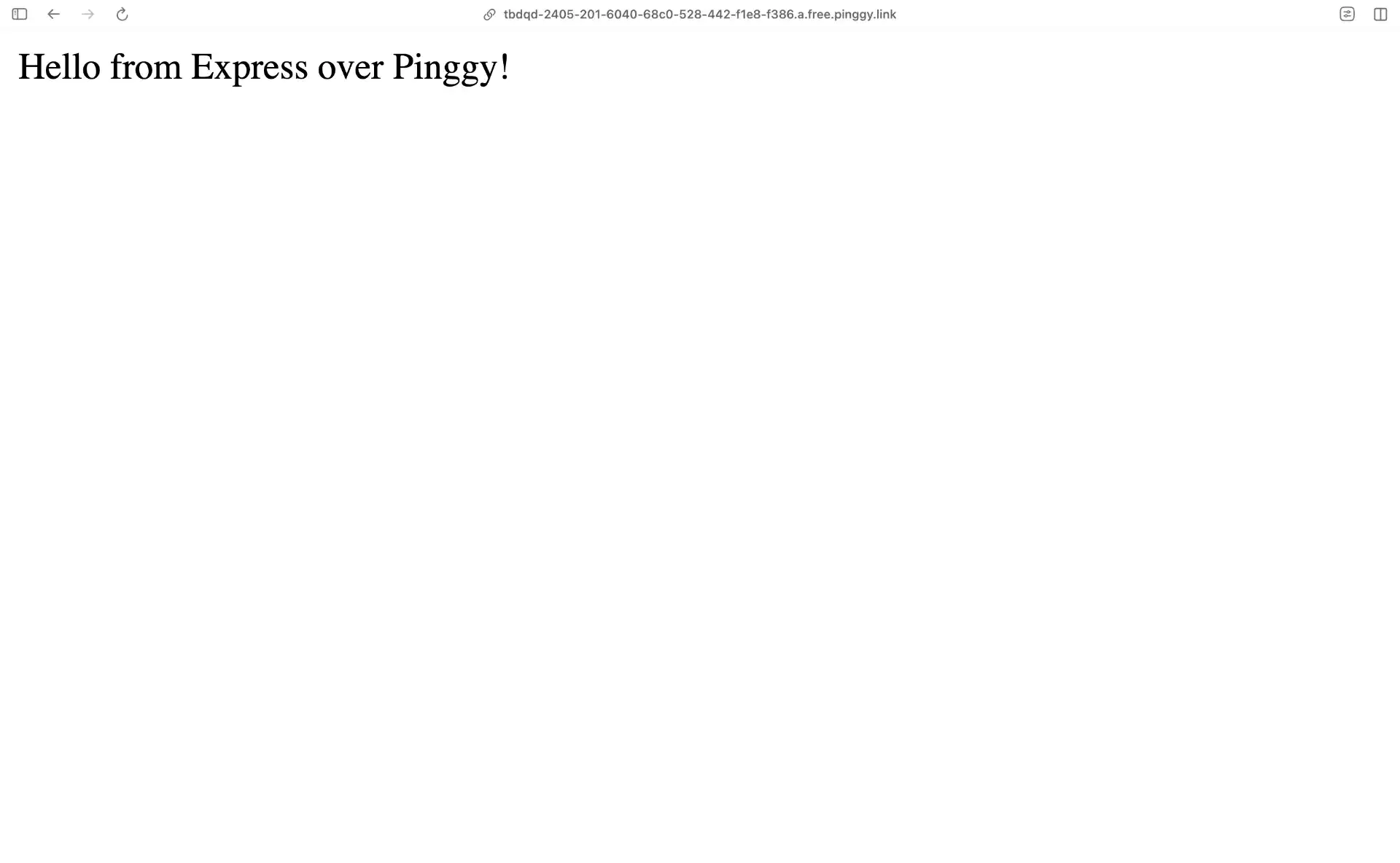 Express App Running on Pinggy Public URL