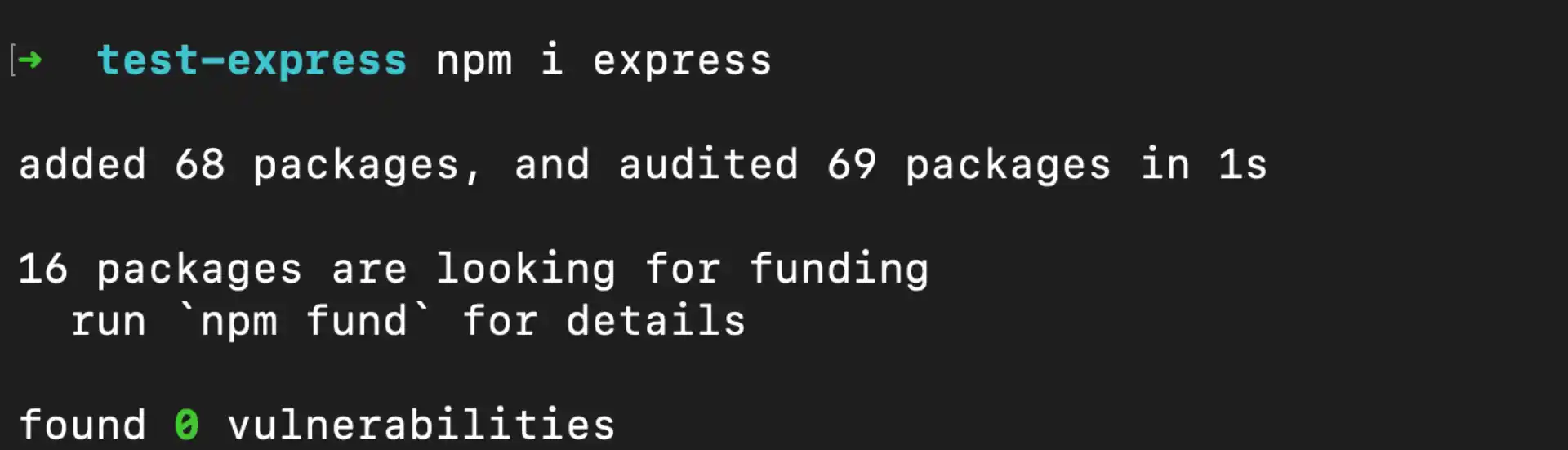 Install Express.js Package