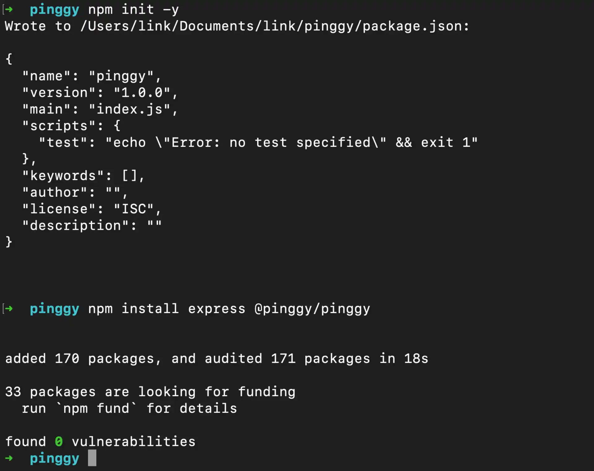 Install Pinggy Package