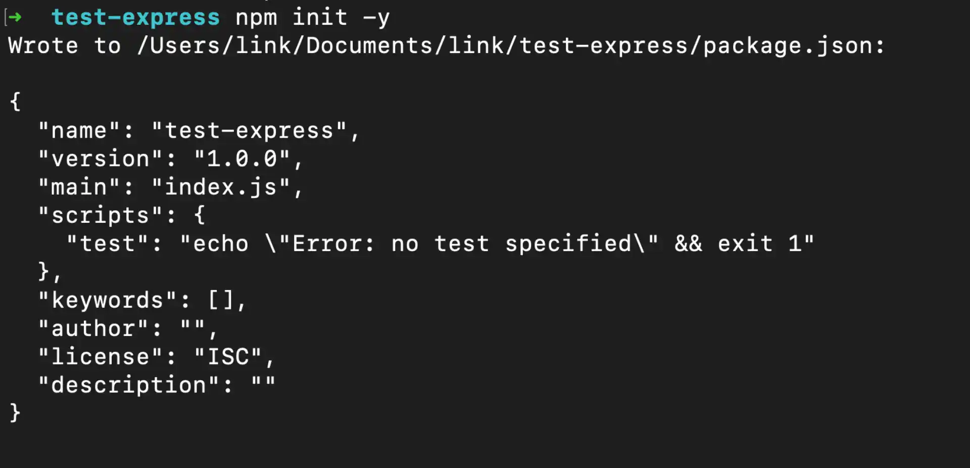 Initialize npm Project