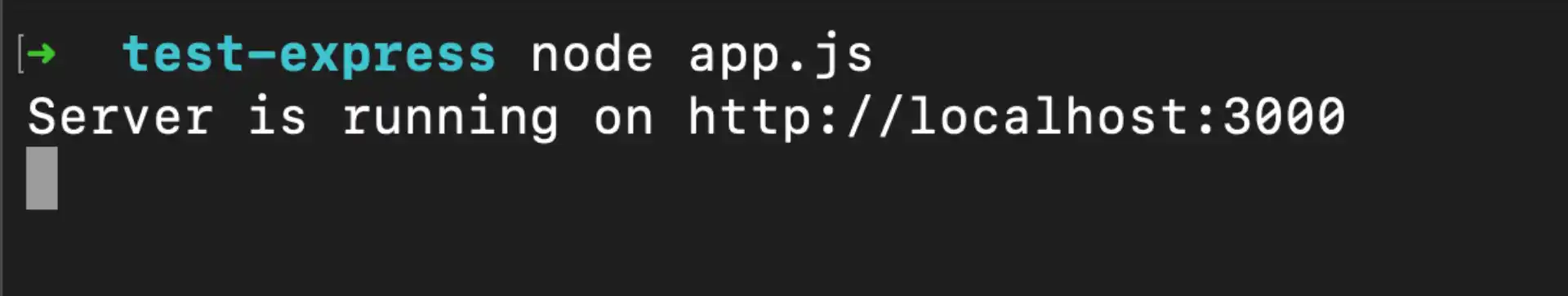 Run Express.js Server