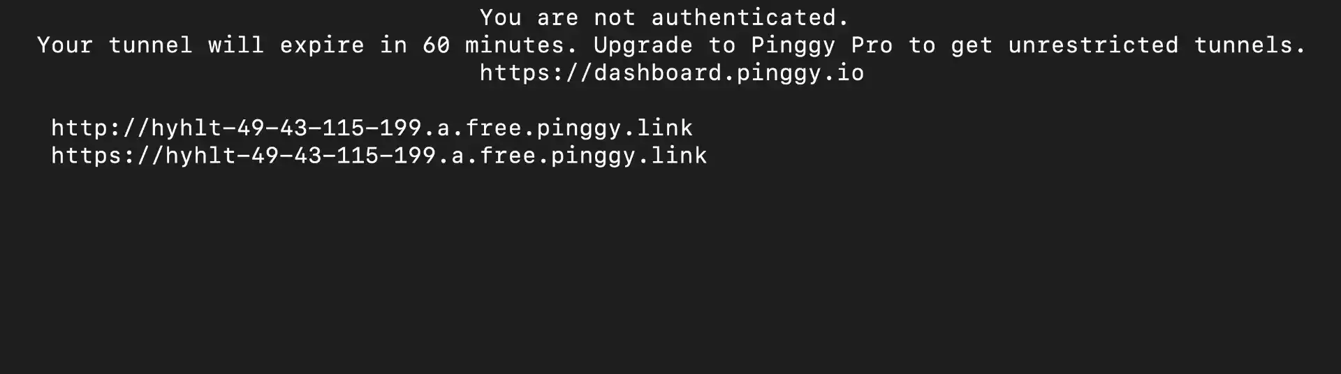 Pinggy Public URL