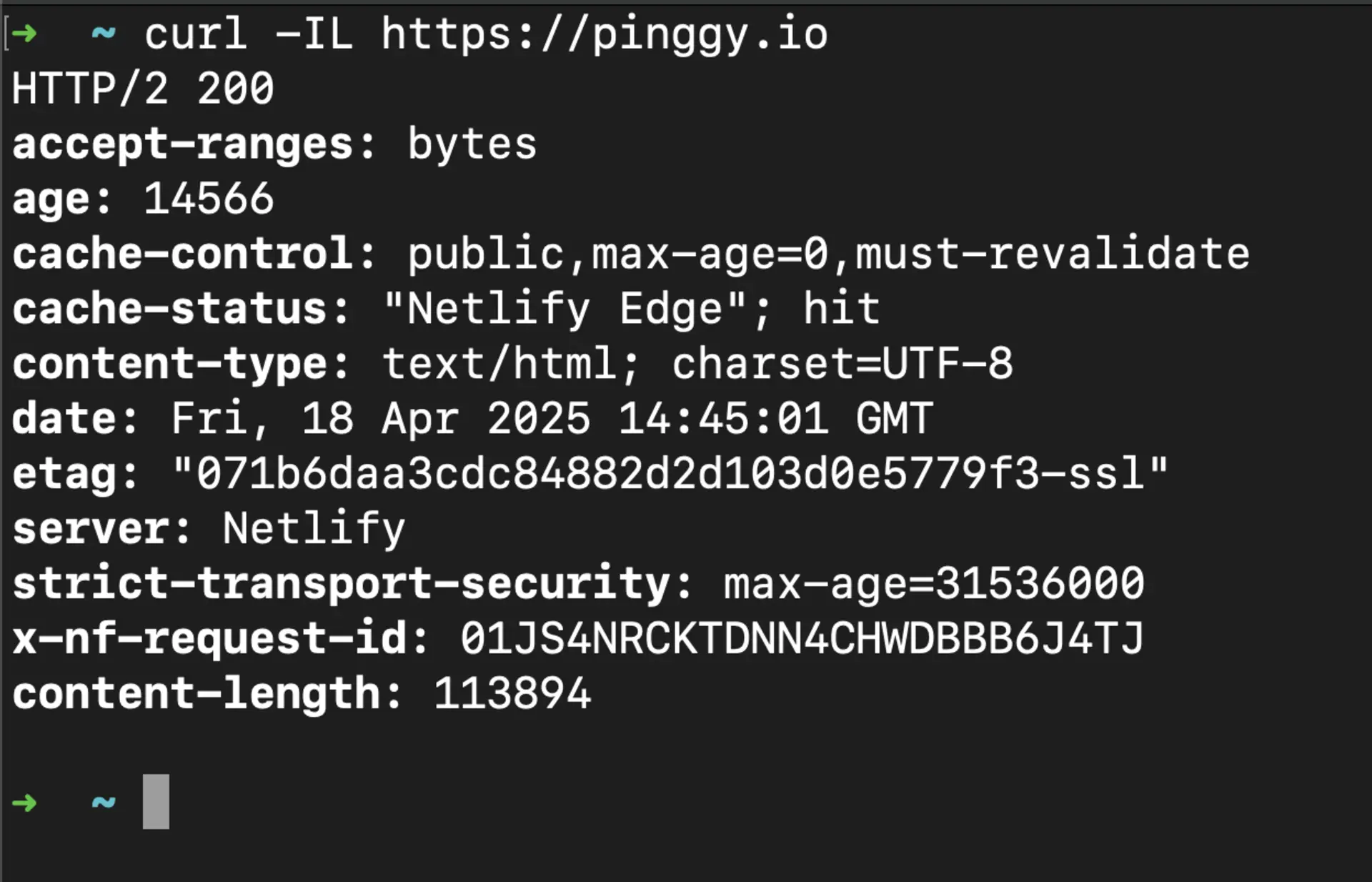 curl terminal