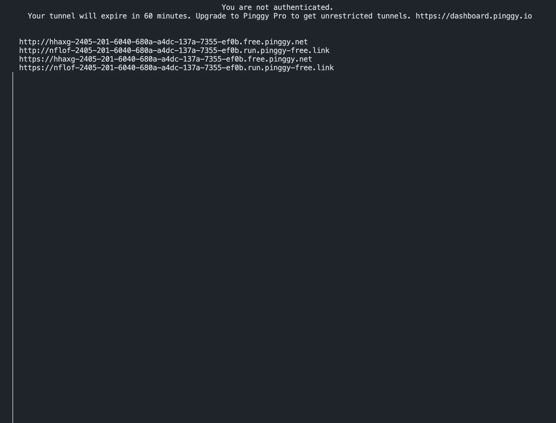 Pinggy tunnel started, printing the public HTTP and HTTPS URLs