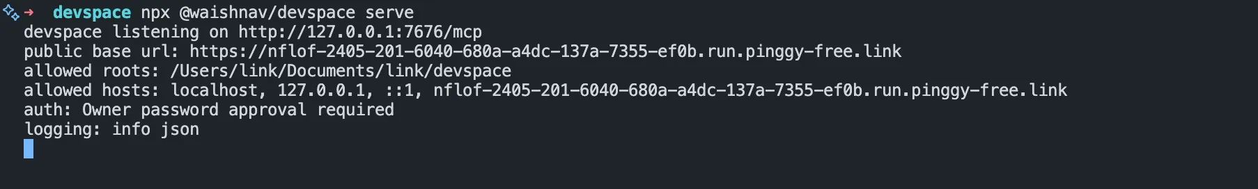 DevSpace server running and listening on the local MCP endpoint